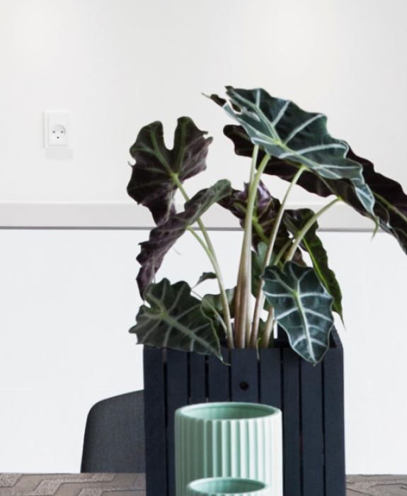 Climate Innovation - De Dietrich Wall Mounted Boilers